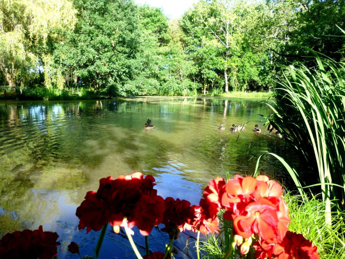 Bed and Breakfast Le Ranch Amadeus Saint-Paul-en-Born Zewnętrze zdjęcie