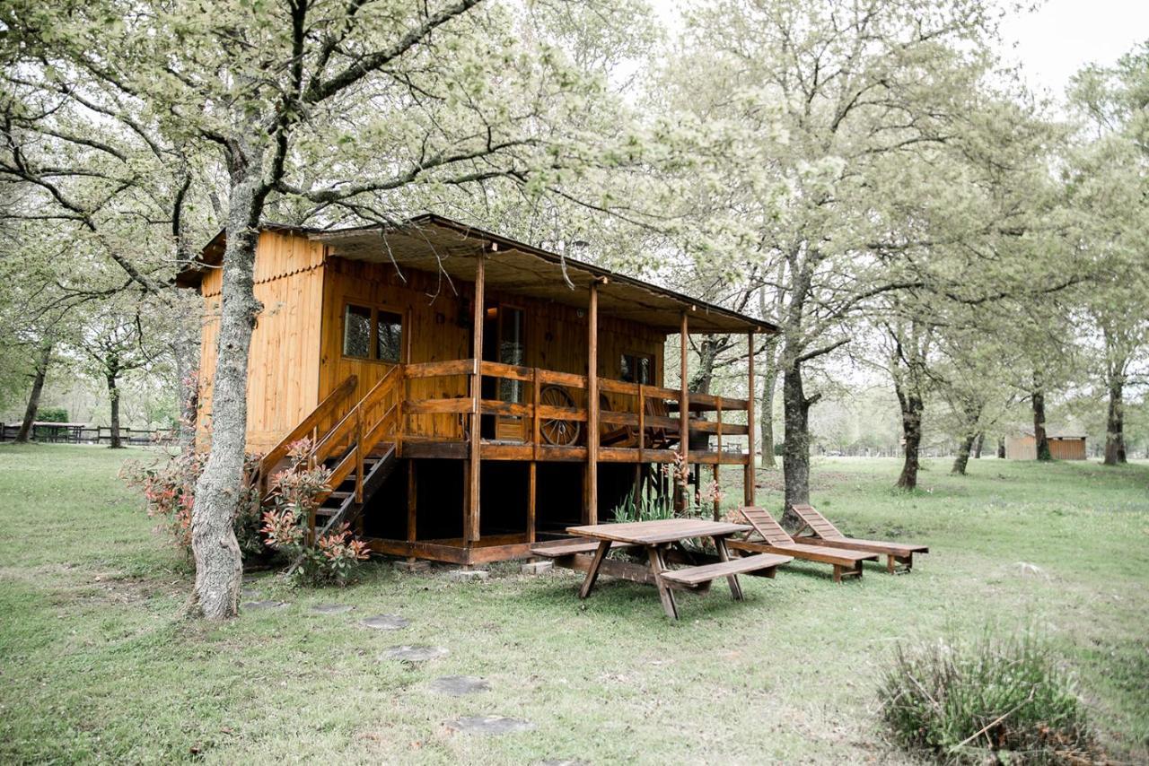 Bed and Breakfast Le Ranch Amadeus Saint-Paul-en-Born Zewnętrze zdjęcie