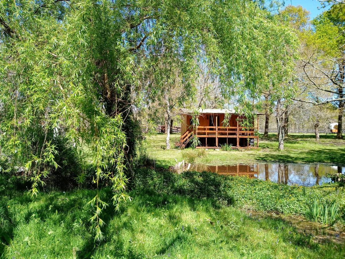Bed and Breakfast Le Ranch Amadeus Saint-Paul-en-Born Zewnętrze zdjęcie