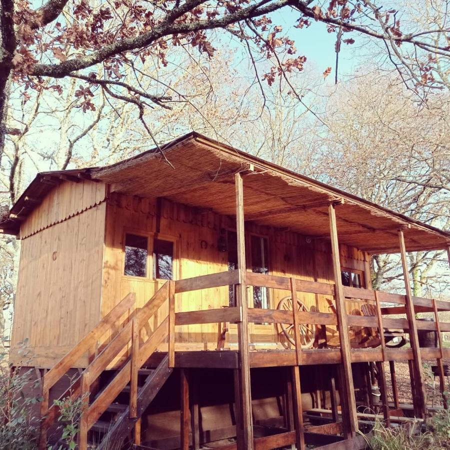 Bed and Breakfast Le Ranch Amadeus Saint-Paul-en-Born Zewnętrze zdjęcie