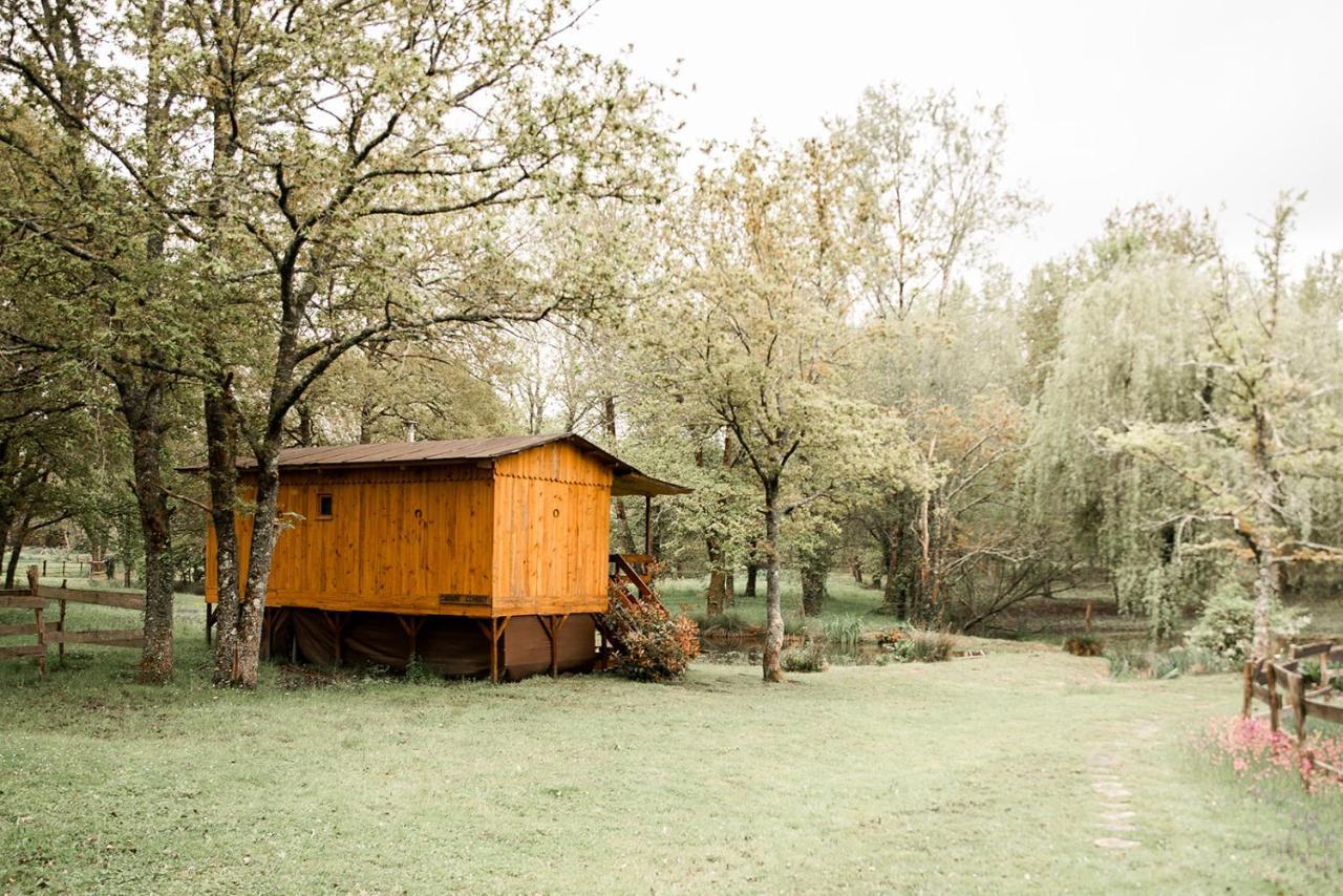 Bed and Breakfast Le Ranch Amadeus Saint-Paul-en-Born Zewnętrze zdjęcie